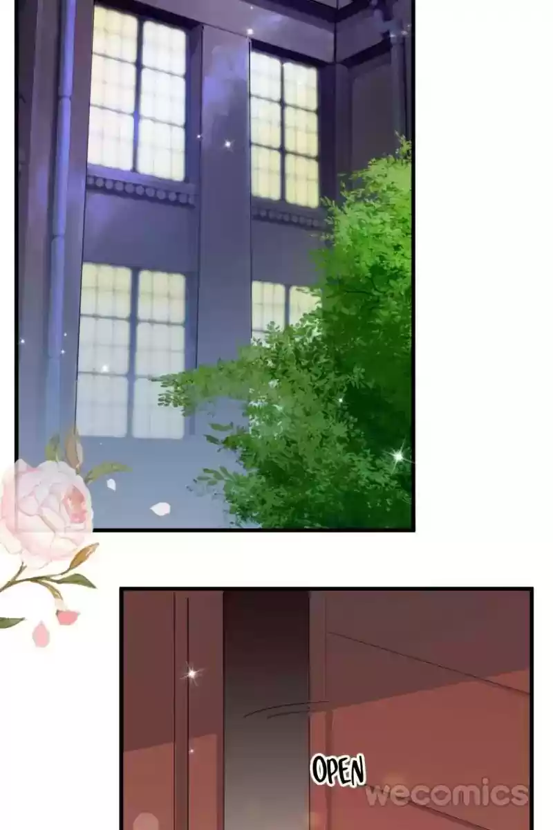 Mr. Zhou, Forced Marriage Is Illegal! Chapter 29