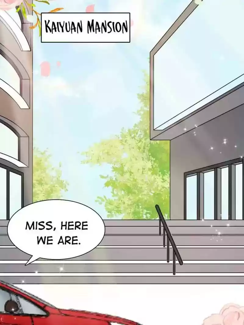 Mr. Zhou, Forced Marriage Is Illegal! Chapter 3