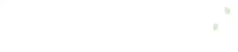 Mr. Zhou, Forced Marriage Is Illegal! Chapter 4