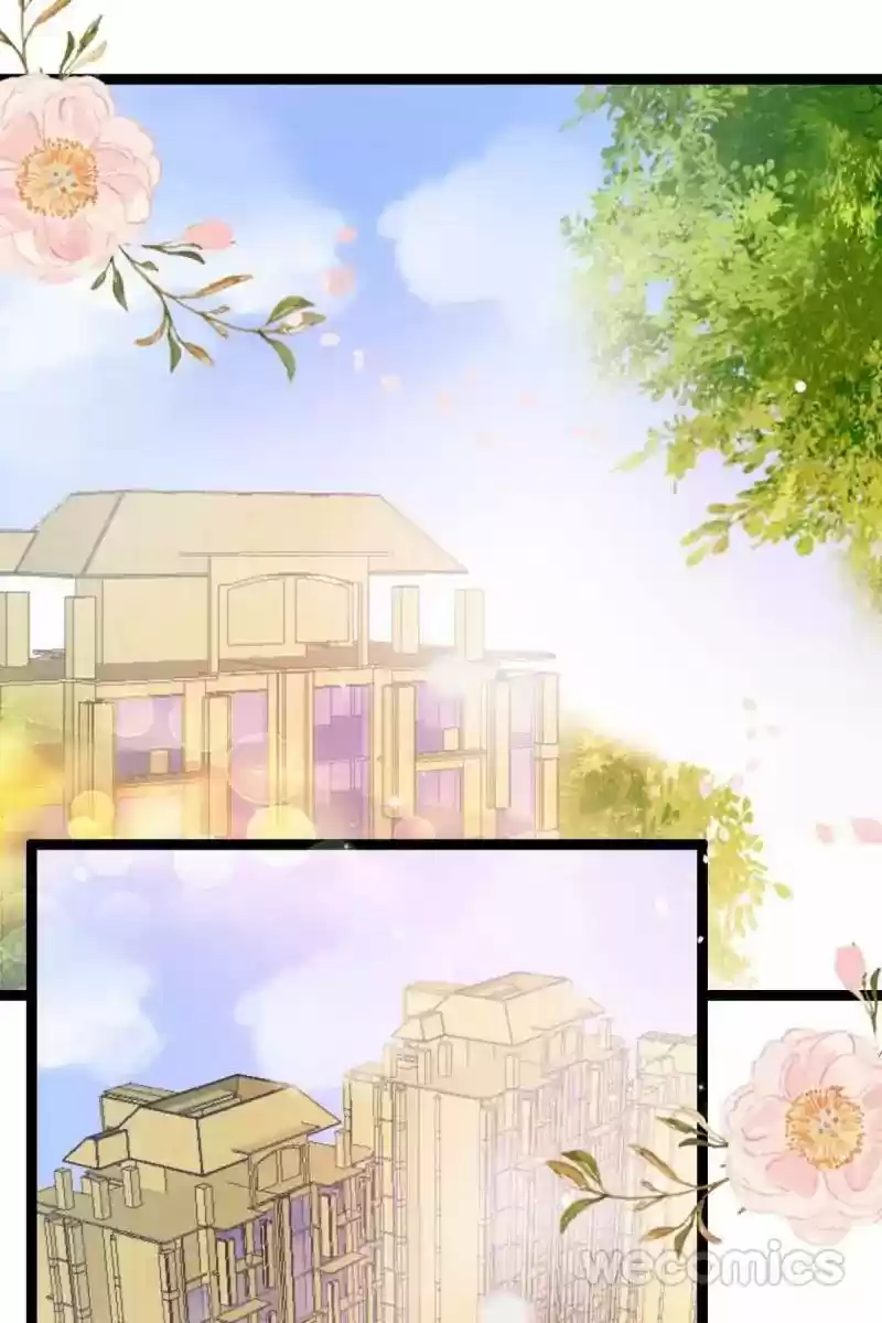 Mr. Zhou, Forced Marriage Is Illegal! Chapter 51