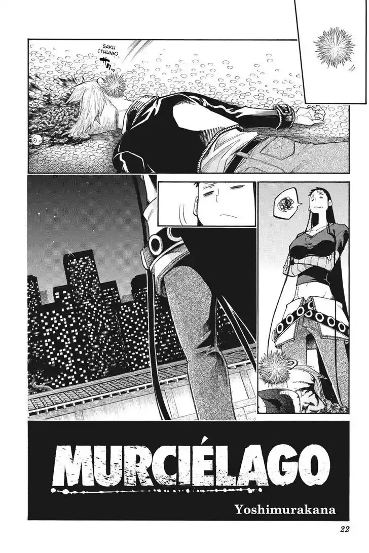 Murcielago Ch.119