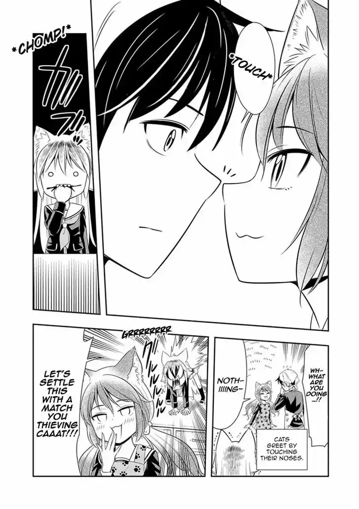 Murenase! Shiiton Gakuen 5