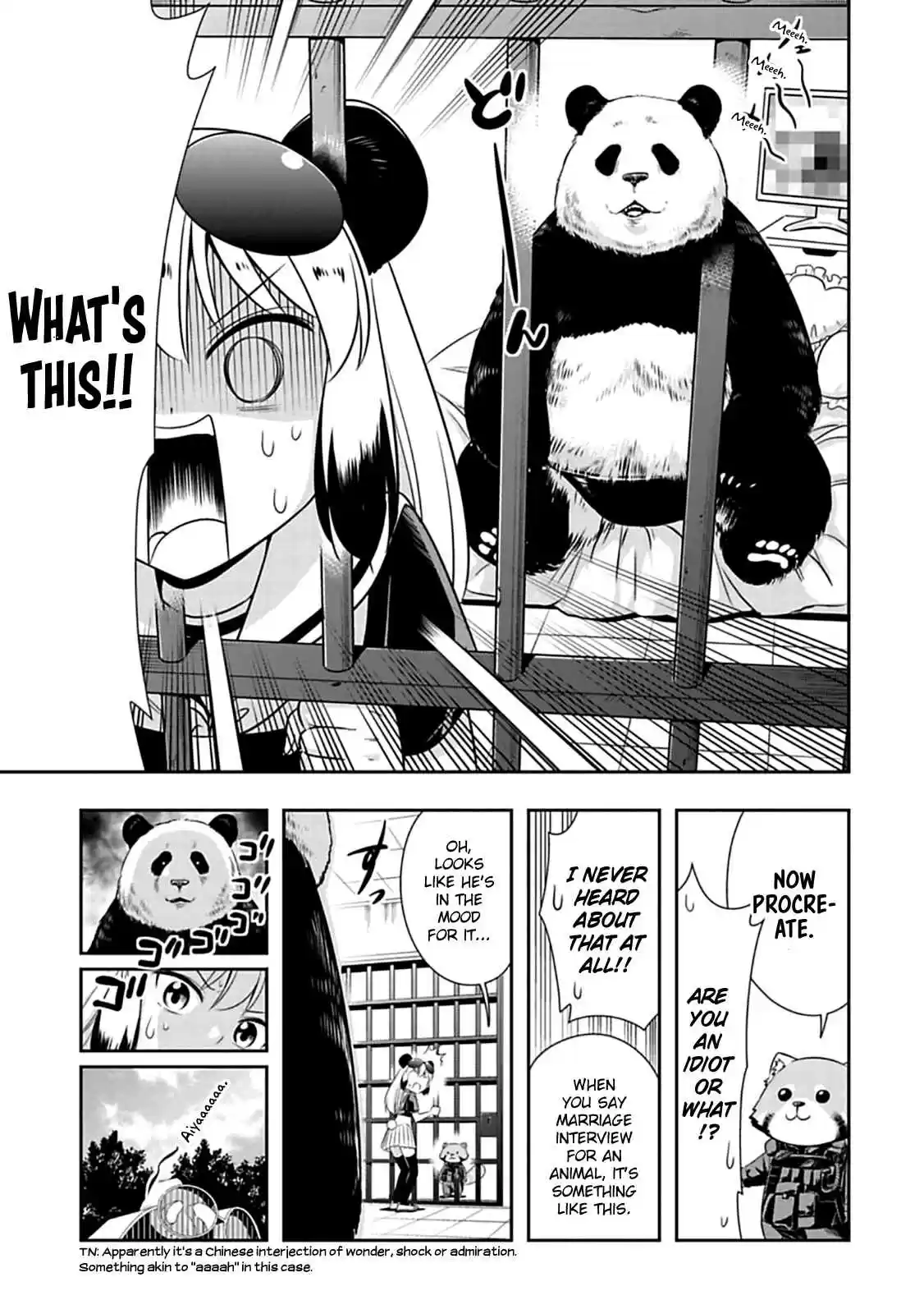 Murenase! Shiiton Gakuen Ch. 59 The panda's marriage interview