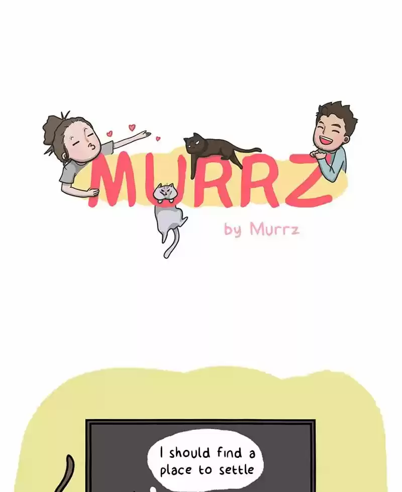 Murrz 3