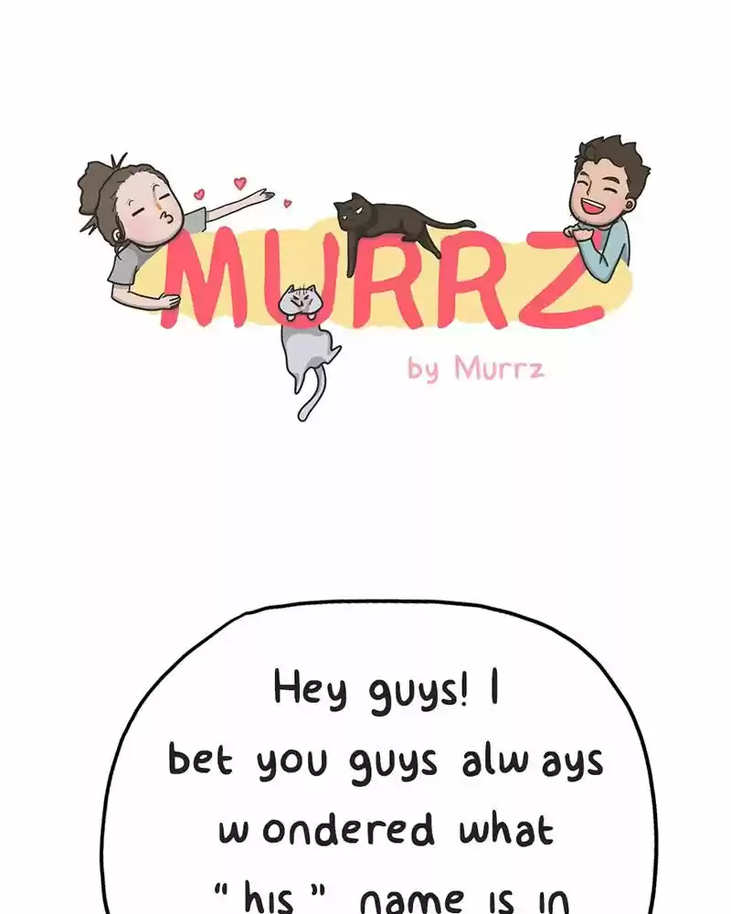 Murrz 32