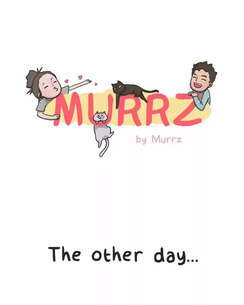 Murrz 48