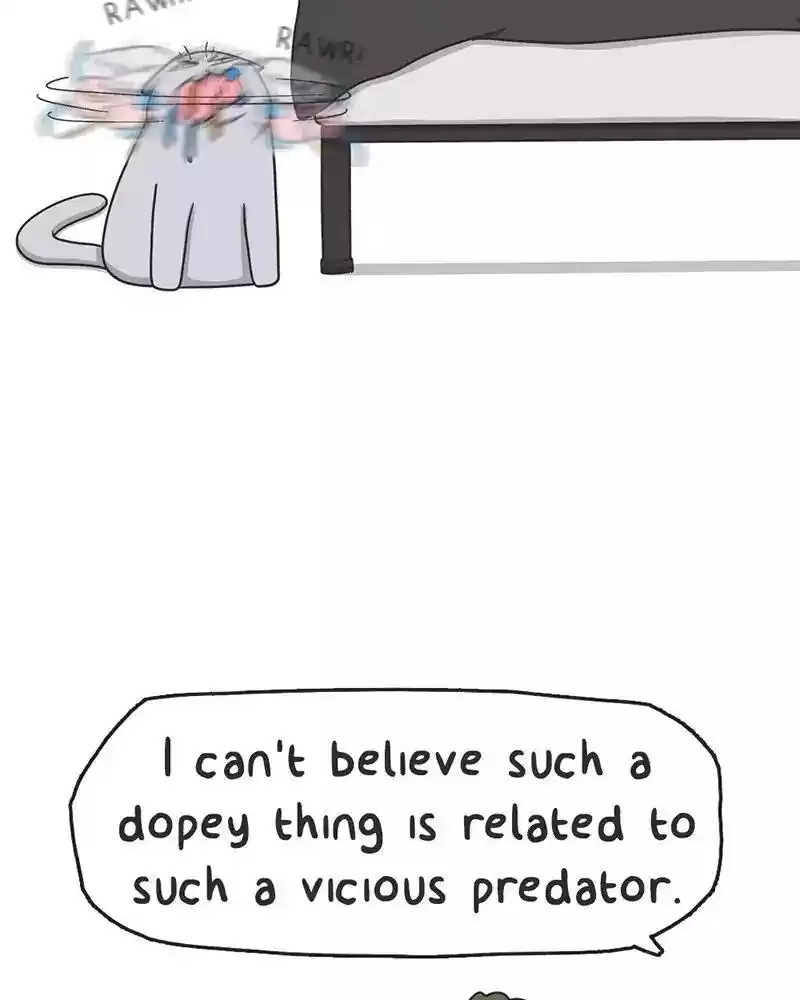 Murrz Chapter 207: Ep.207: