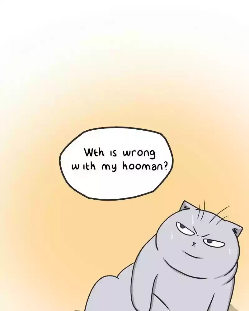 Murrz Chapter 255: Ep.255: