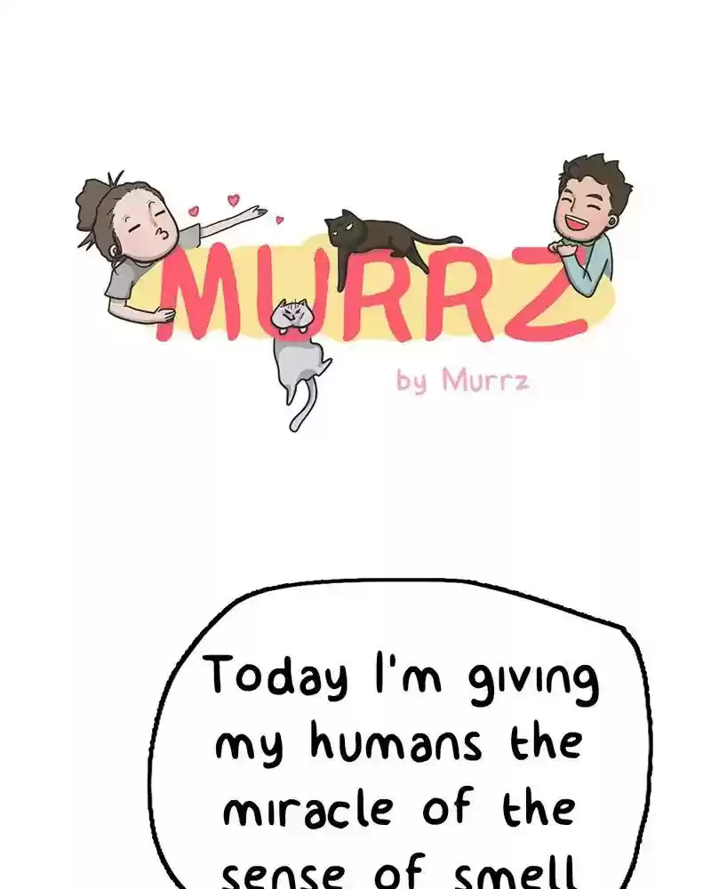 Murrz Chapter 260: Ep.260: