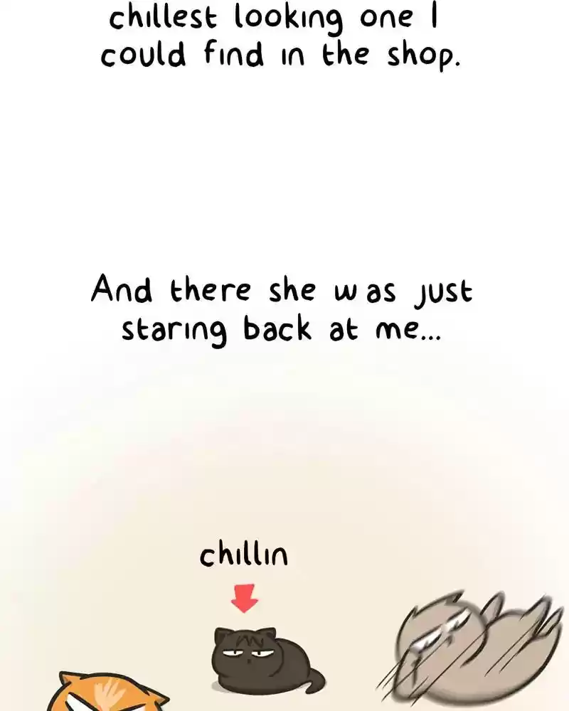 Murrz Chapter 293: Ep.293: