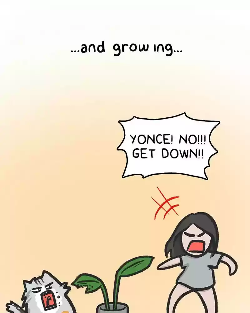 Murrz Chapter 331: Ep.331: