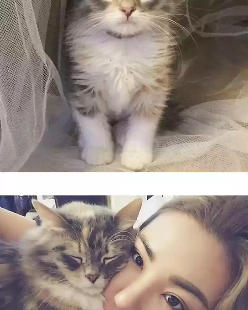 Murrz Chapter 332: Ep.332: