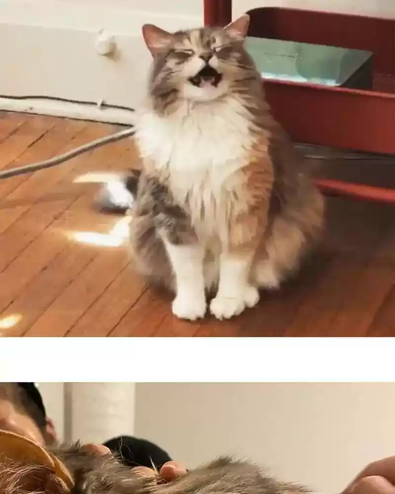 Murrz Chapter 332: Ep.332: