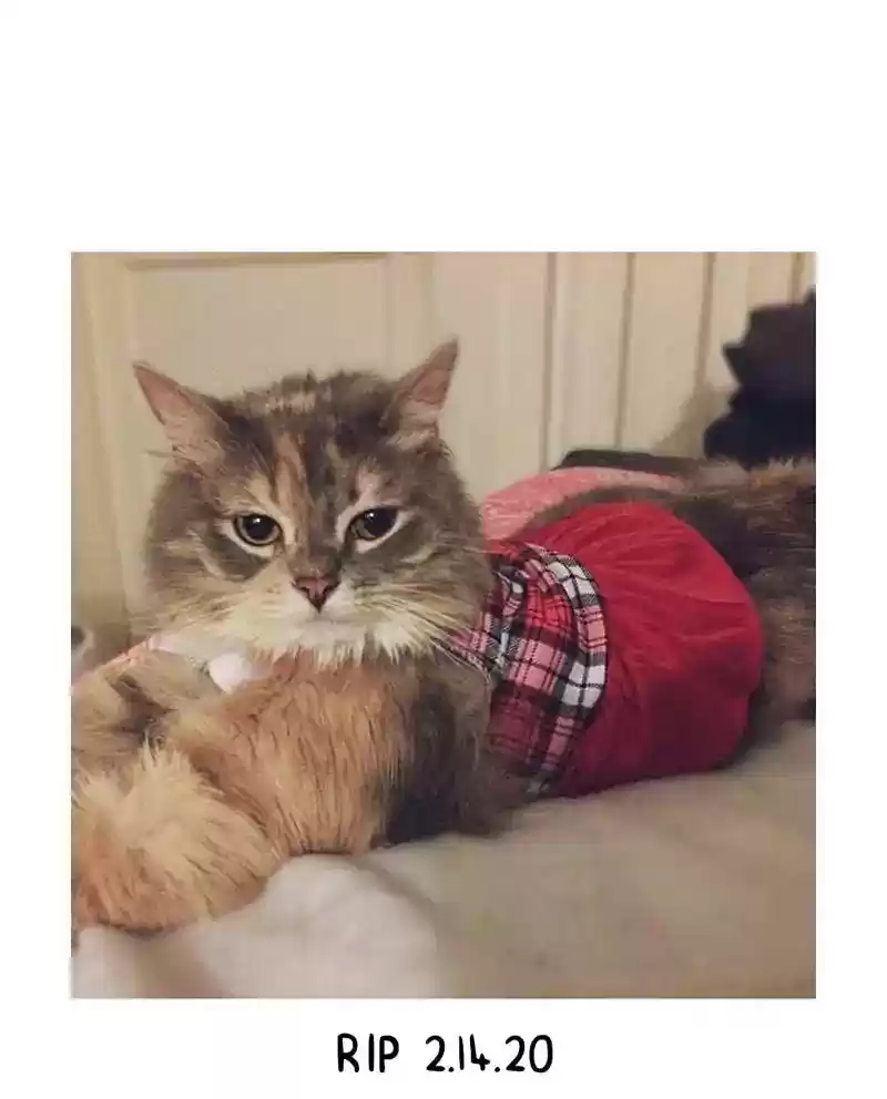 Murrz Chapter 332: Ep.332: