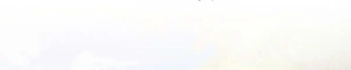 My Chubby Consort 20