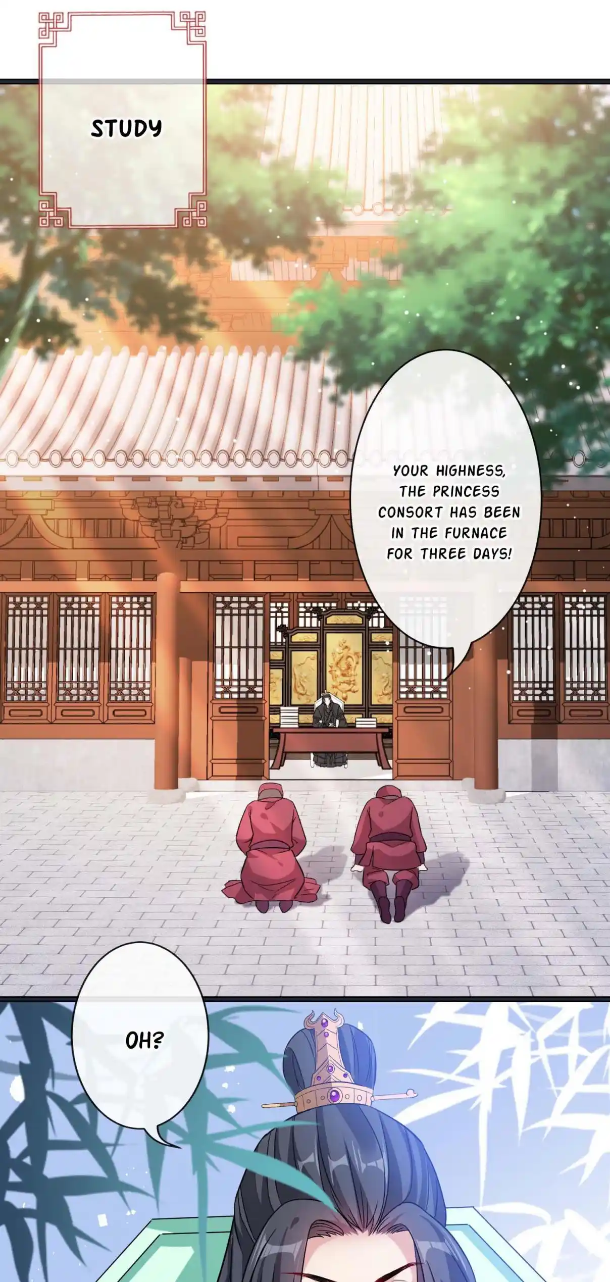 My Chubby Consort 27