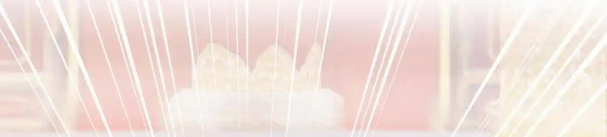 My Chubby Consort 33