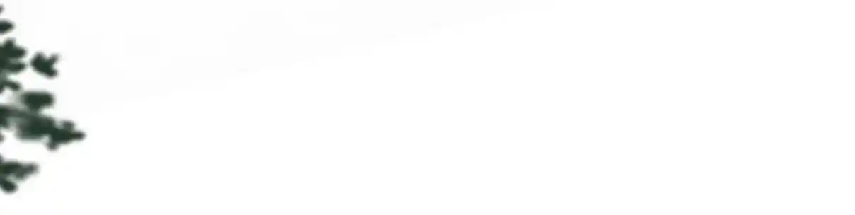 My Chubby Consort 37