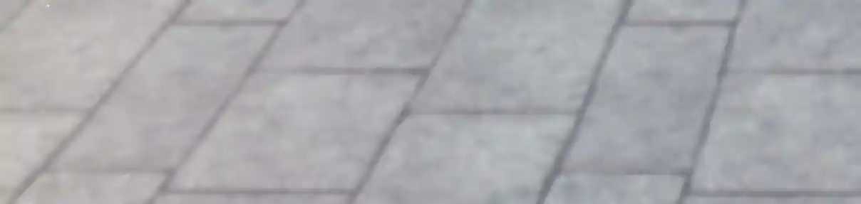 My Chubby Consort 41