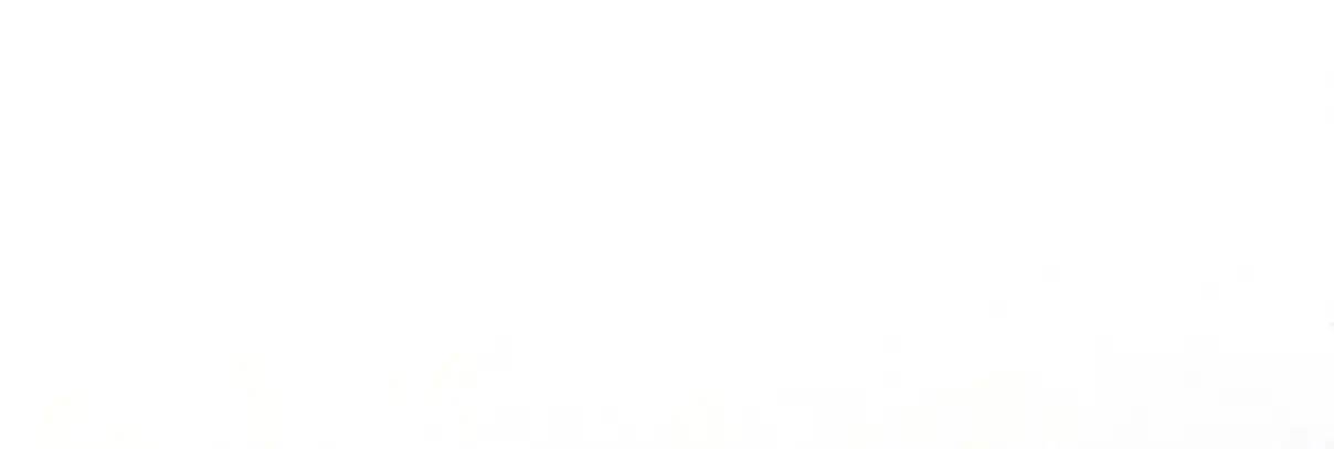 My Chubby Consort 48