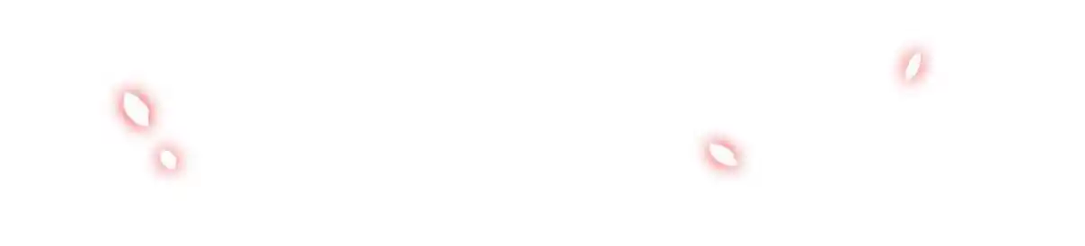 My Chubby Consort 50