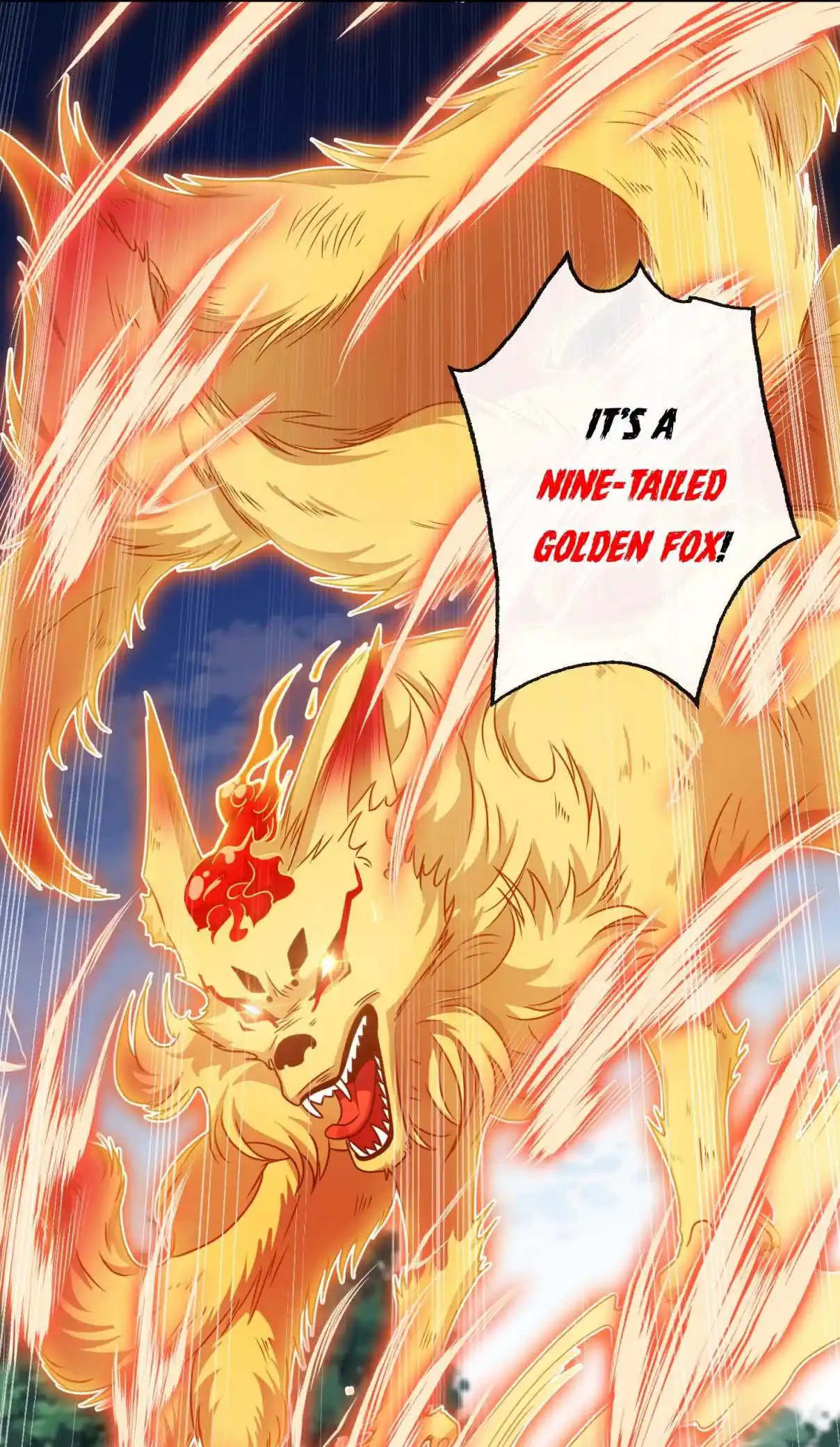 My Chubby Consort 68