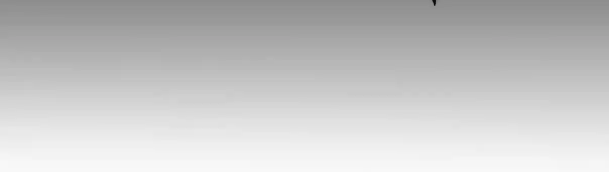 My Chubby Consort 79