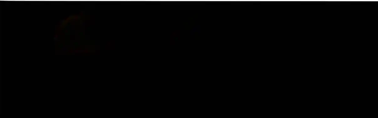 My Chubby Consort 94