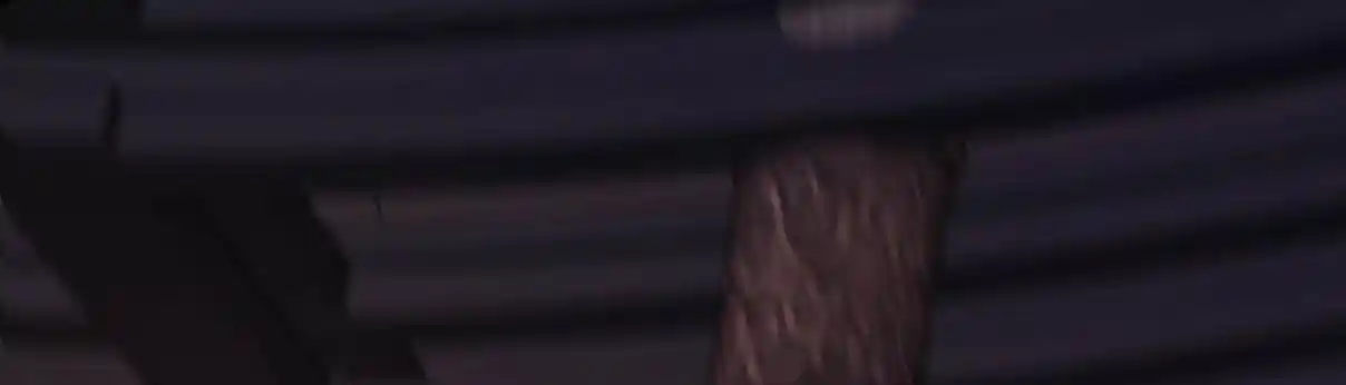 My Chubby Consort 97