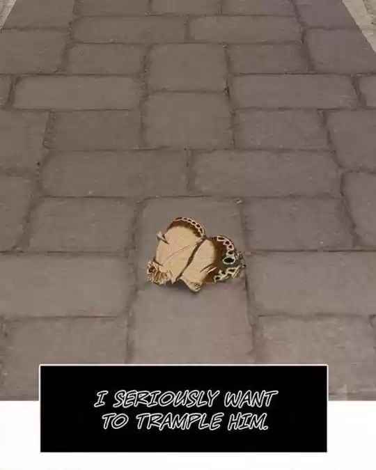 My Darling Signed In Ch.37