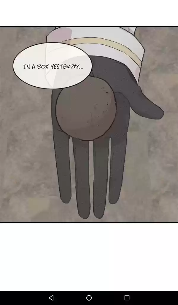 My Darling Signed In Chapter 74