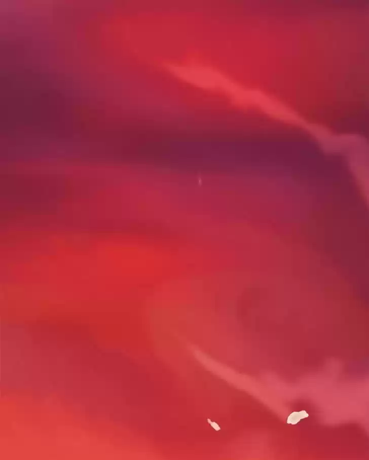 My Dear Cold-Blooded King 21