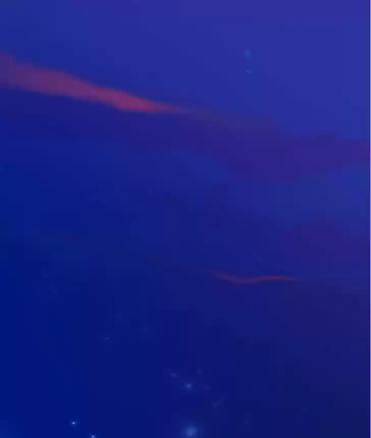 My Dear Cold-Blooded King 21