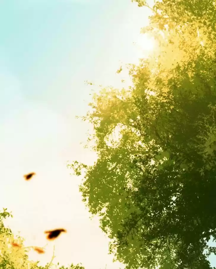 My Dear Cold-Blooded King 23