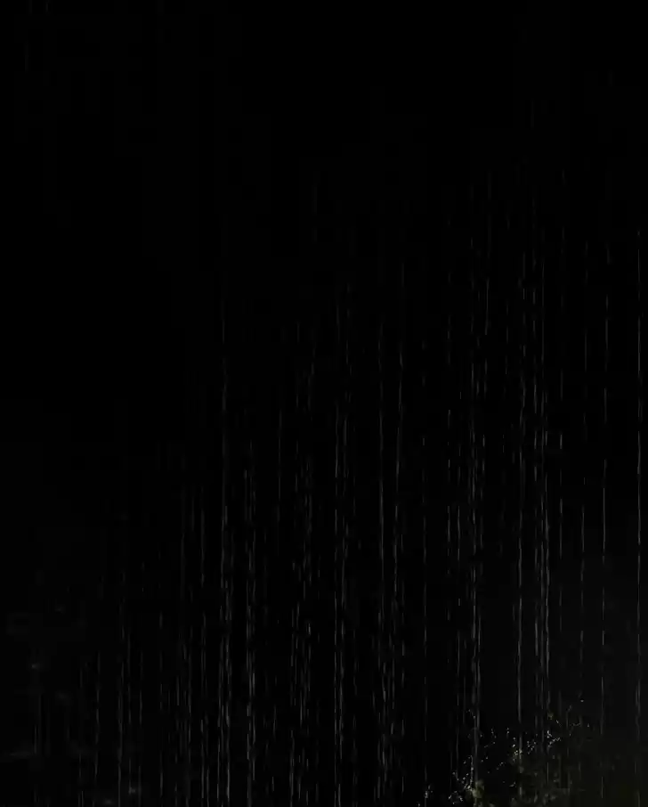 My Dear Cold-Blooded King 25