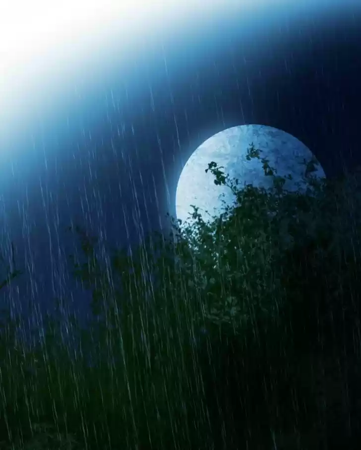 My Dear Cold-Blooded King 25