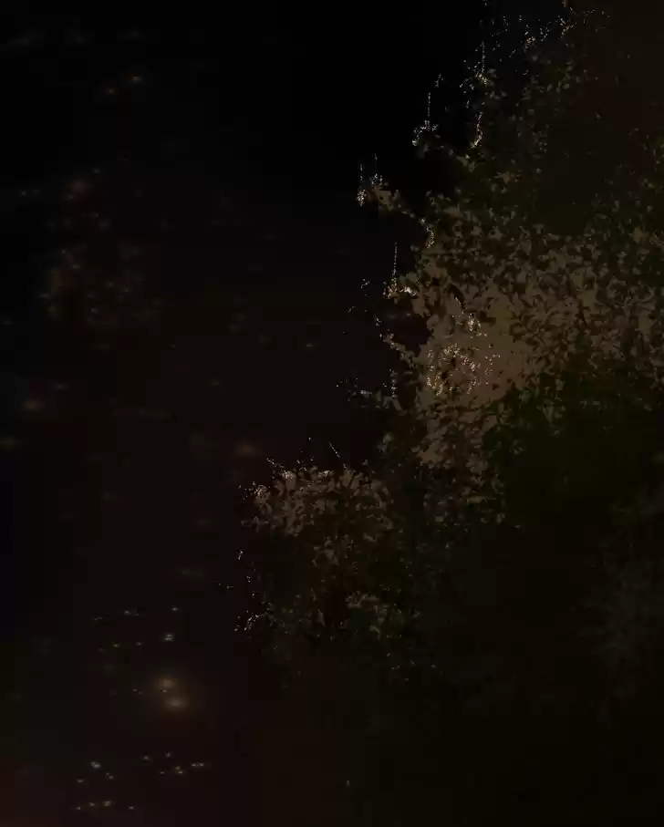 My Dear Cold-Blooded King 45