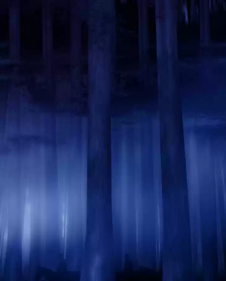 My Dear Cold-Blooded King 49