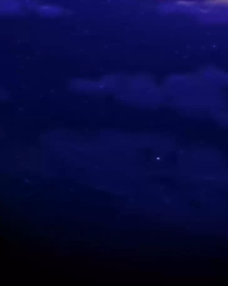 My Dear Cold-Blooded King 57