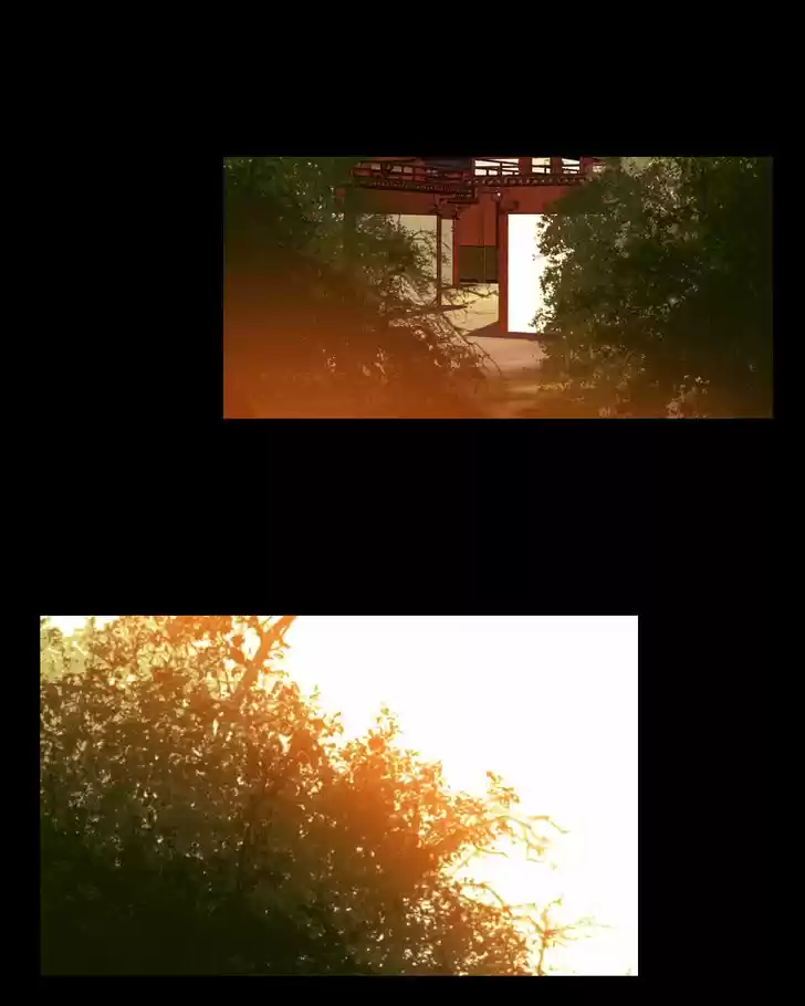 My Dear Cold-Blooded King 59