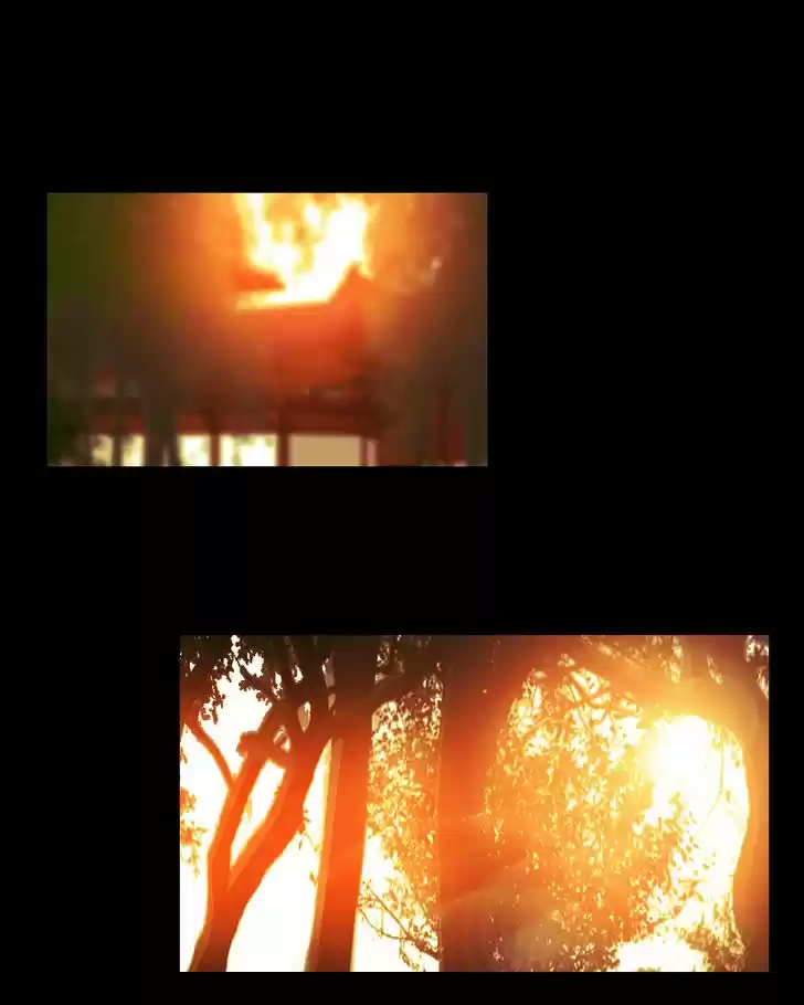 My Dear Cold-Blooded King 59