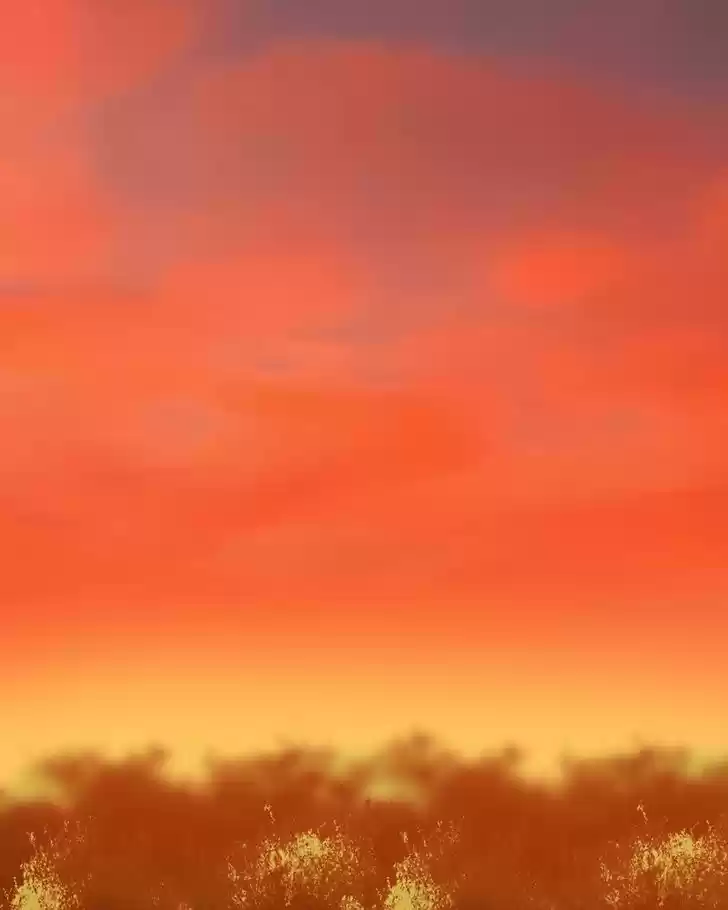 My Dear Cold-Blooded King 60