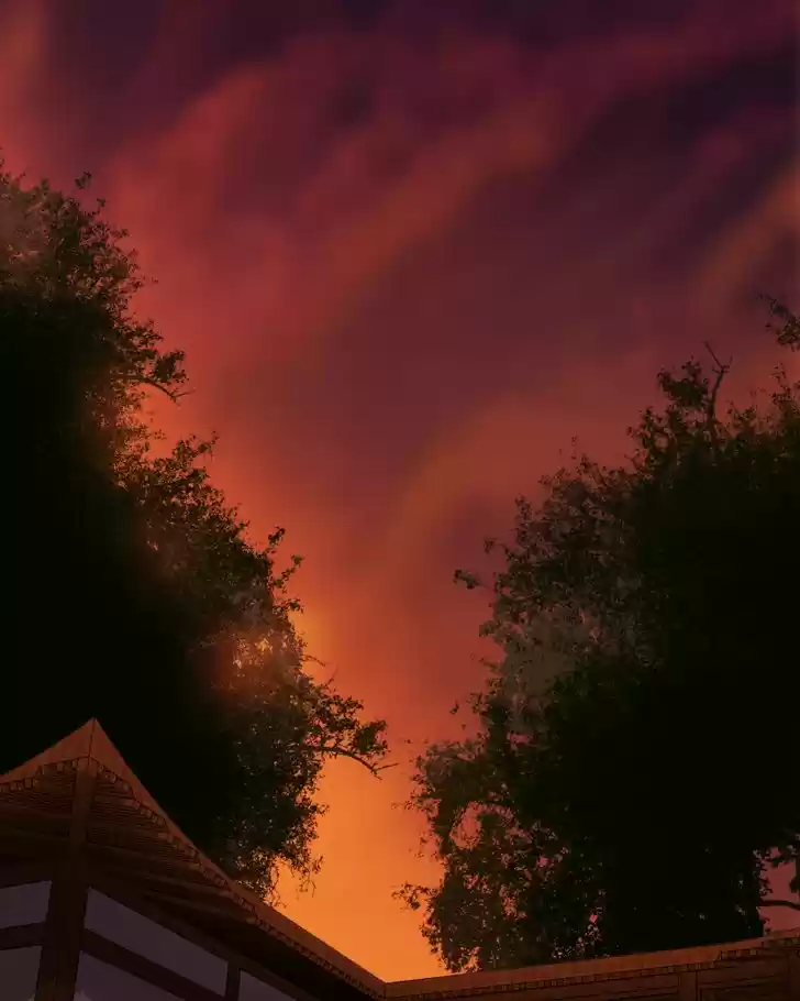 My Dear Cold-Blooded King 63