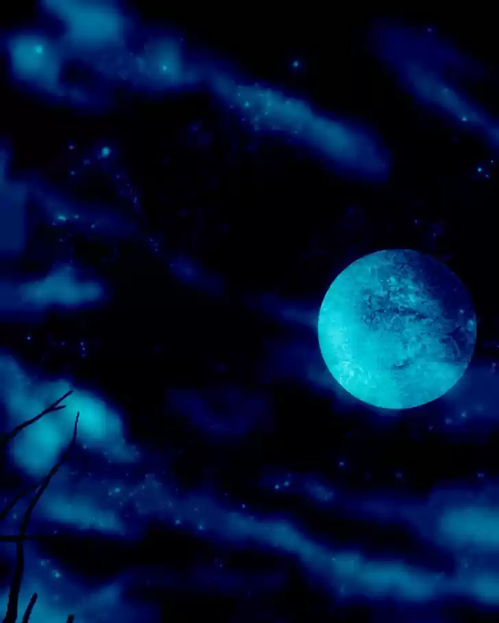 My Dear Cold-Blooded King 71