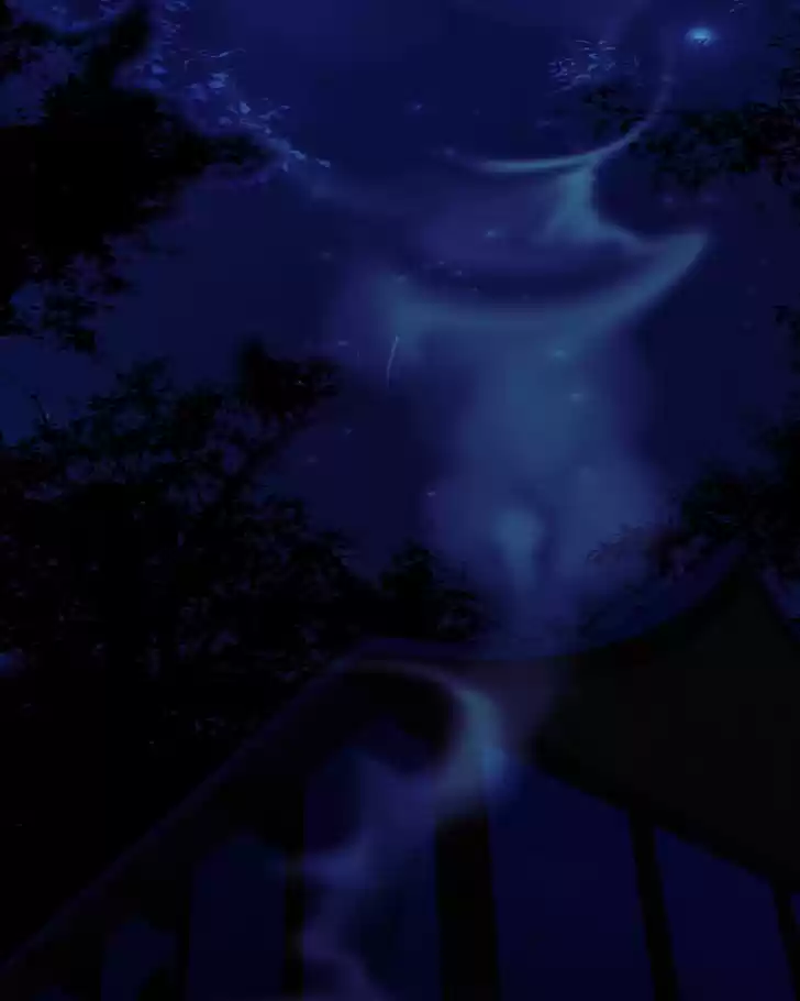 My Dear Cold-Blooded King 72