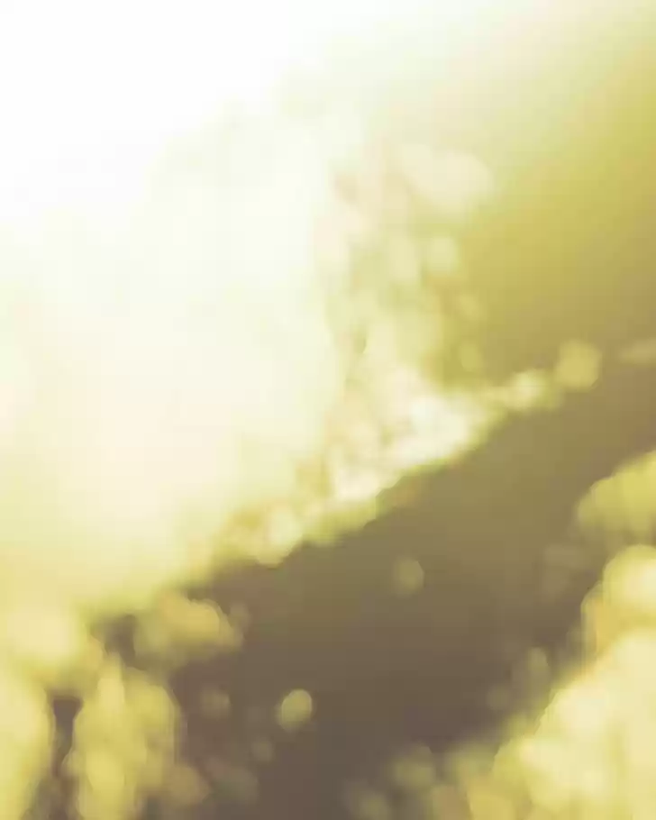 My Dear Cold-Blooded King 73