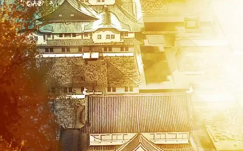 My Dear Cold-Blooded King 81