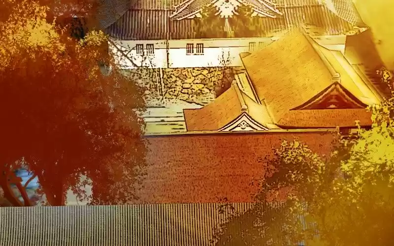 My Dear Cold-Blooded King 81