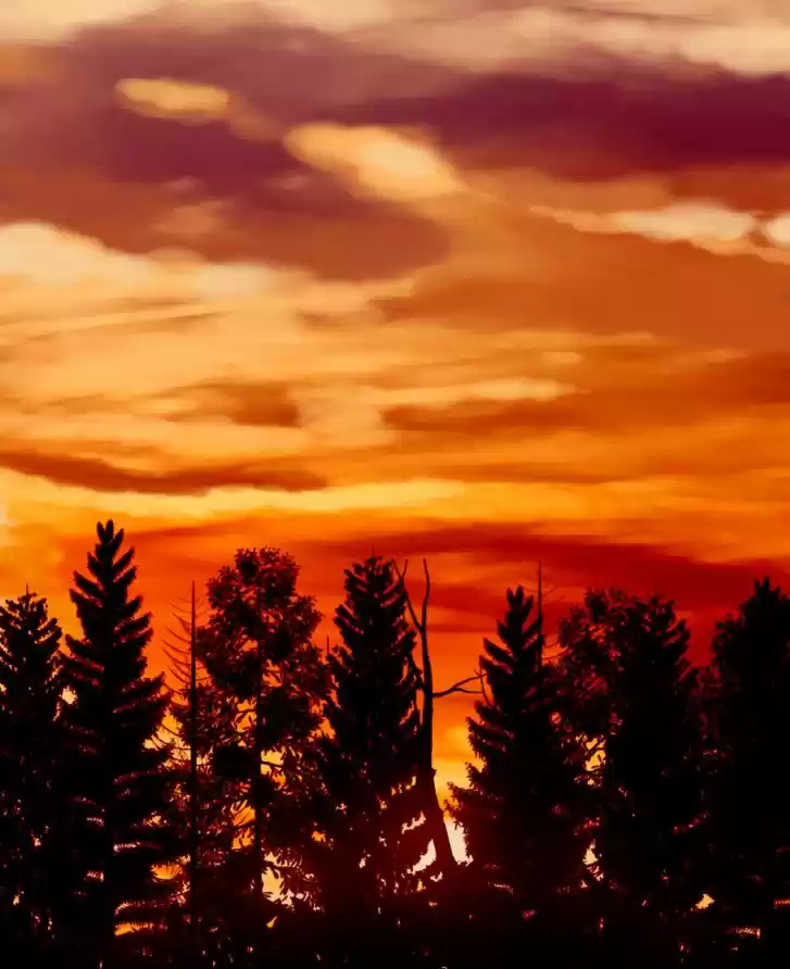 My Dear Cold-Blooded King 84