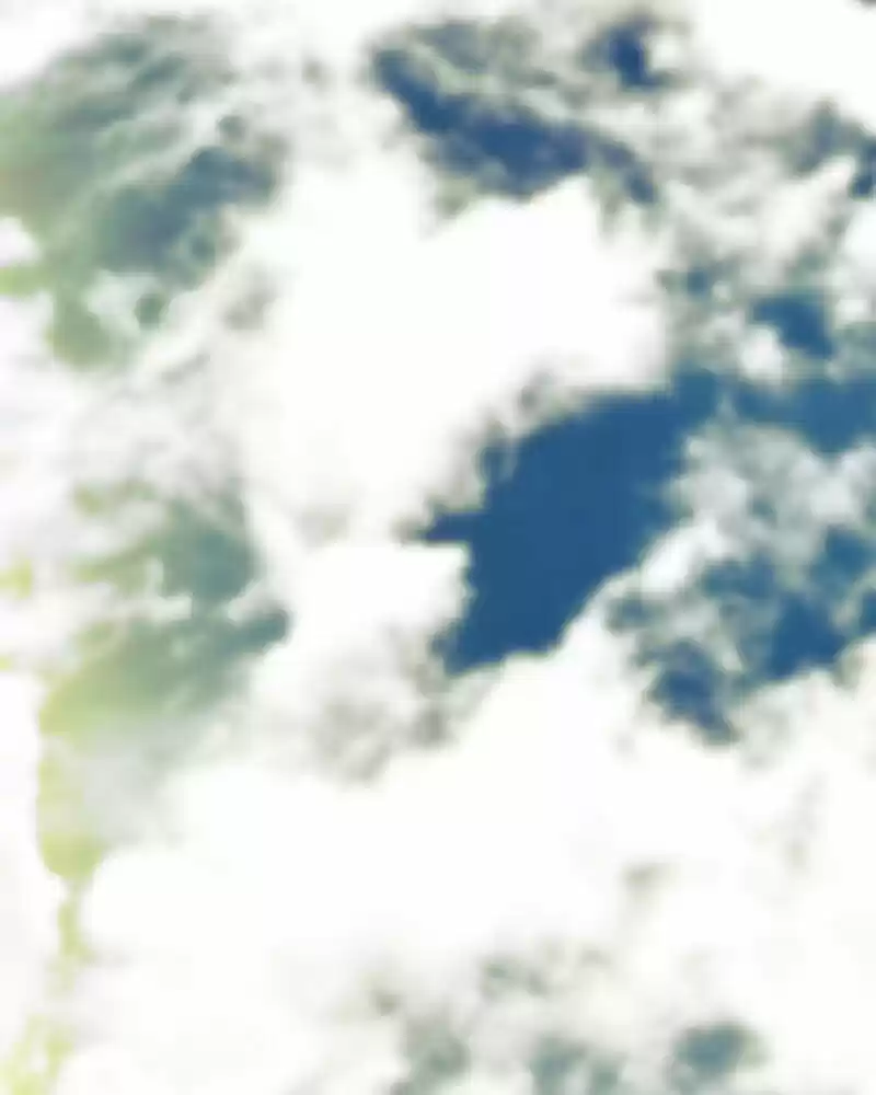 My Dear Cold-Blooded King ch.133